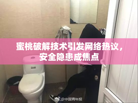 蜜桃破解技术引发网络热议，安全隐患成焦点