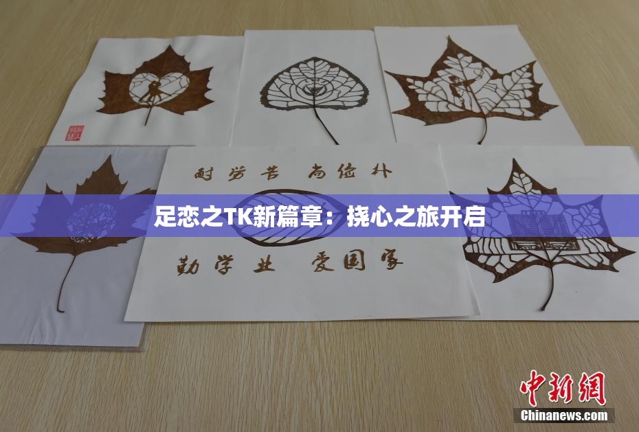 足恋之TK新篇章：挠心之旅开启