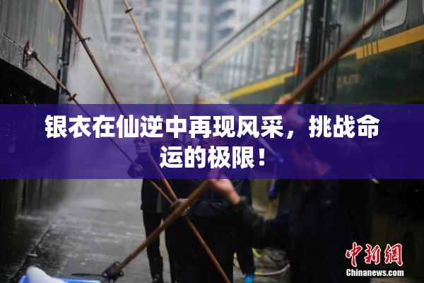 银衣在仙逆中再现风采，挑战命运的极限！