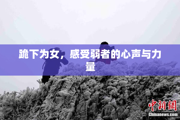 跪下为女，感受弱者的心声与力量