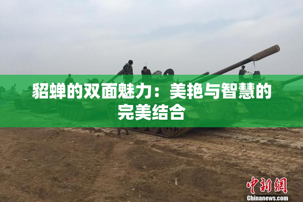 貂蝉的双面魅力：美艳与智慧的完美结合