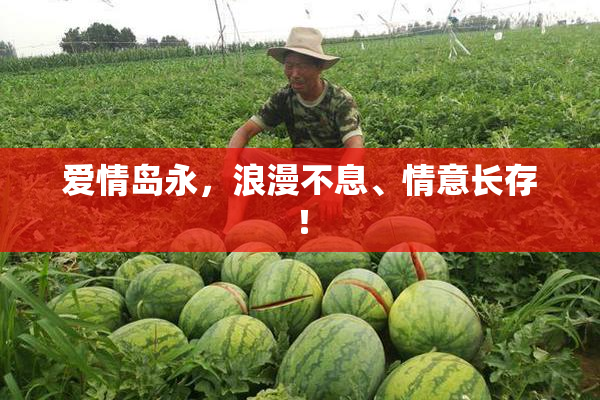 爱情岛永，浪漫不息、情意长存！