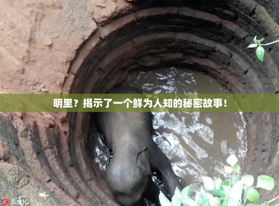 明里？揭示了一个鲜为人知的秘密故事！