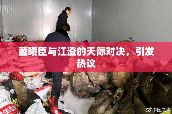 蓝曦臣与江澄的天际对决，引发热议