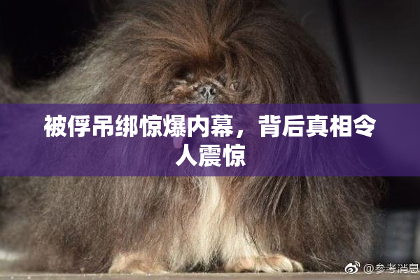被俘吊绑惊爆内幕，背后真相令人震惊