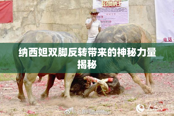 纳西妲双脚反转带来的神秘力量揭秘