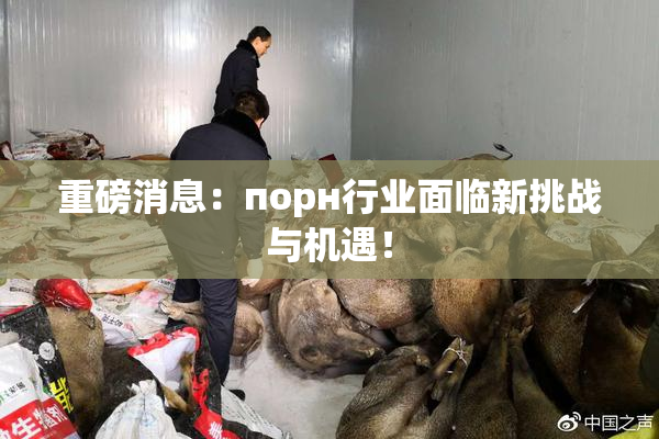 重磅消息：порн行业面临新挑战与机遇！