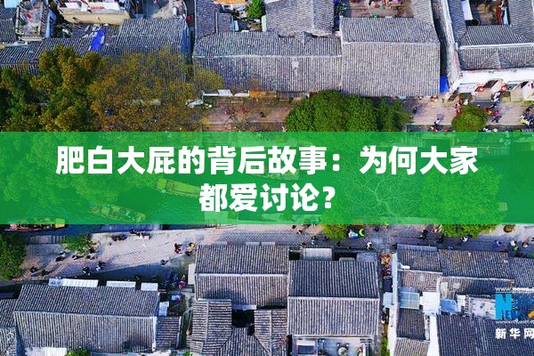 肥白大屁的背后故事：为何大家都爱讨论？