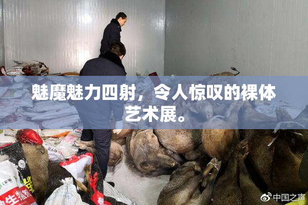 魅魔魅力四射，令人惊叹的裸体艺术展。