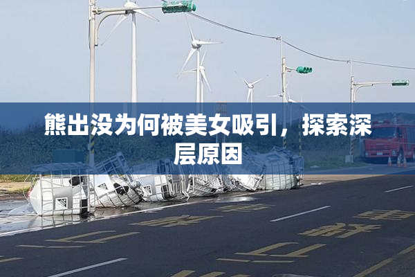 熊出没为何被美女吸引，探索深层原因