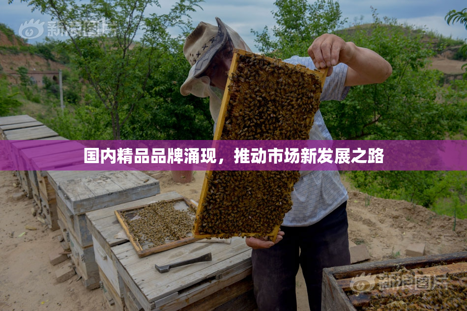 国内精品品牌涌现，推动市场新发展之路
