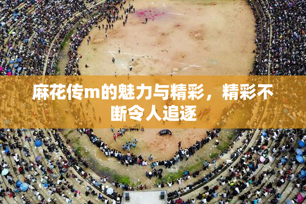 麻花传m的魅力与精彩，精彩不断令人追逐