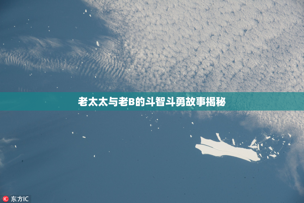 老太太与老B的斗智斗勇故事揭秘