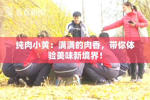 纯肉小黄：满满的肉香，带你体验美味新境界！