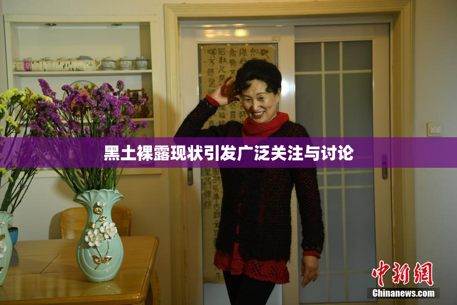 黑土裸露现状引发广泛关注与讨论