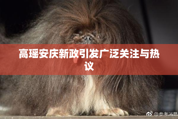 高瑶安庆新政引发广泛关注与热议