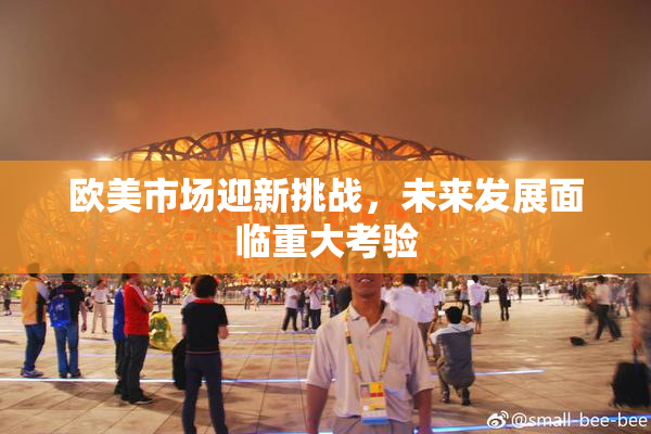 欧美市场迎新挑战，未来发展面临重大考验