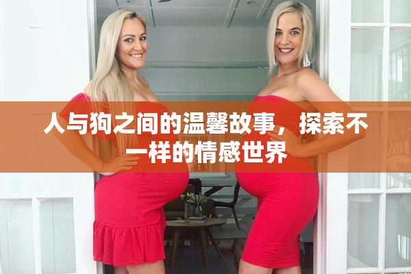 人与狗之间的温馨故事，探索不一样的情感世界