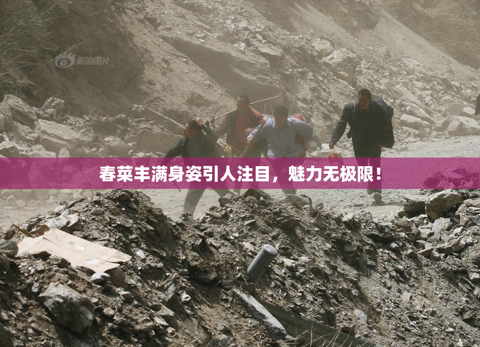 春菜丰满身姿引人注目，魅力无极限！