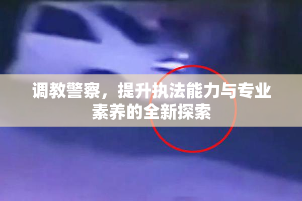 调教警察，提升执法能力与专业素养的全新探索