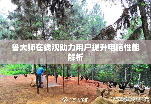 鲁大师在线观助力用户提升电脑性能解析