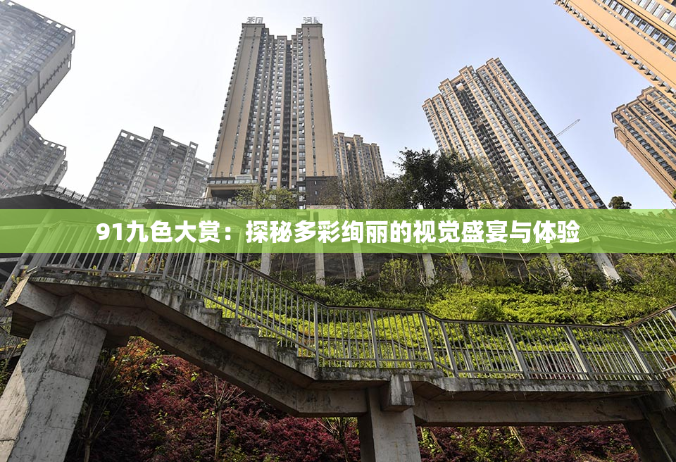 91九色大赏：探秘多彩绚丽的视觉盛宴与体验