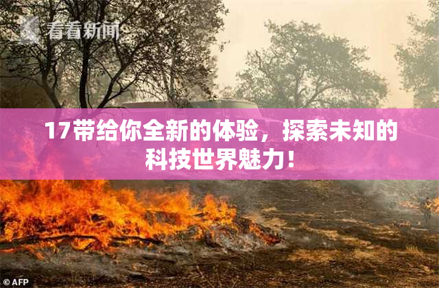 17带给你全新的体验，探索未知的科技世界魅力！