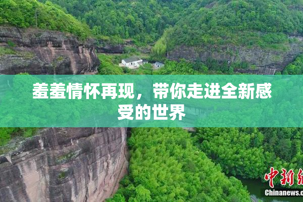 羞羞情怀再现，带你走进全新感受的世界