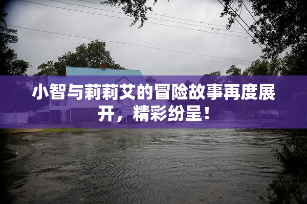 小智与莉莉艾的冒险故事再度展开，精彩纷呈！