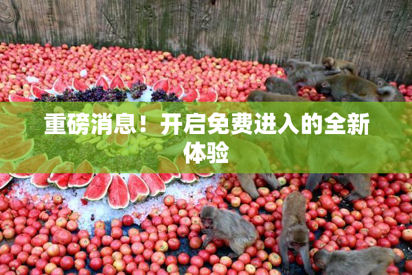 重磅消息！开启免费进入的全新体验