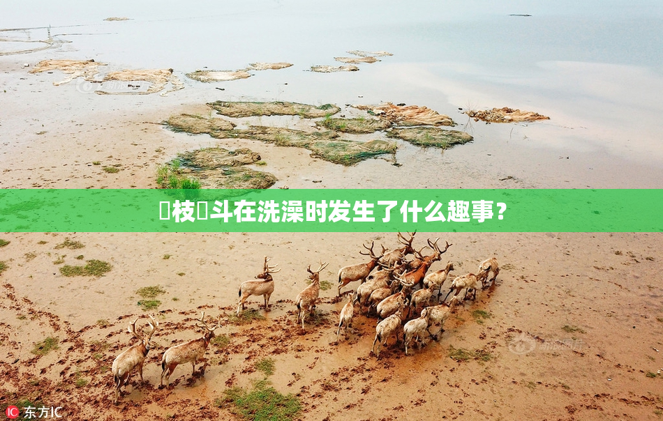 狛枝凪斗在洗澡时发生了什么趣事？
