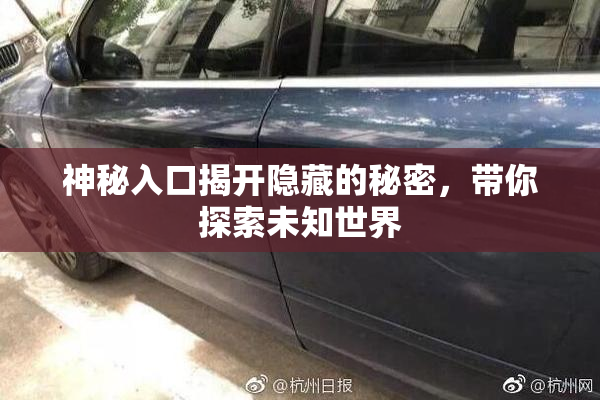 神秘入口揭开隐藏的秘密，带你探索未知世界