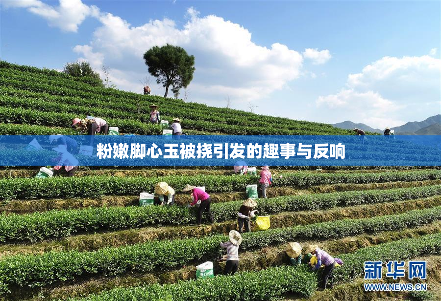 粉嫩脚心玉被挠引发的趣事与反响