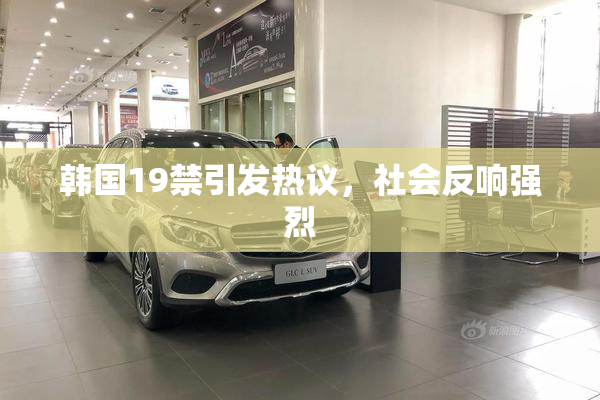 韩国19禁引发热议，社会反响强烈