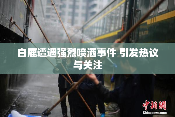 白鹿遭遇强烈喷洒事件 引发热议与关注
