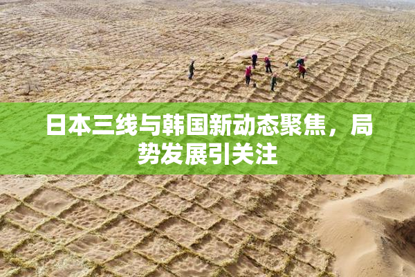 日本三线与韩国新动态聚焦，局势发展引关注