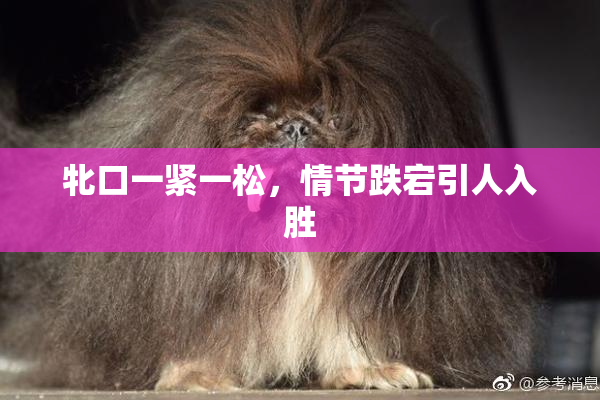 牝口一紧一松，情节跌宕引人入胜