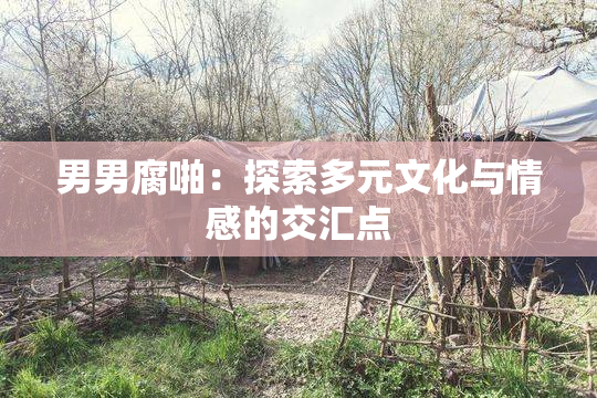 男男腐啪：探索多元文化与情感的交汇点