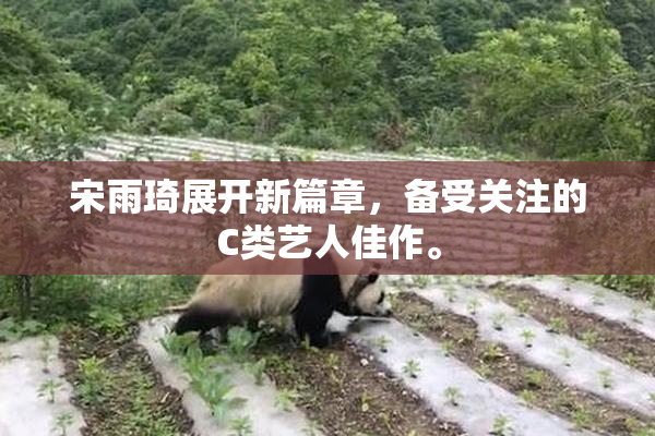 宋雨琦展开新篇章，备受关注的C类艺人佳作。