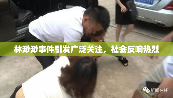 林渺渺事件引发广泛关注，社会反响热烈