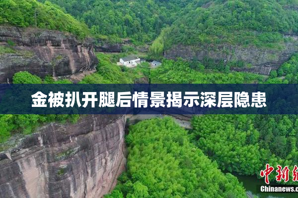 金被扒开腿后情景揭示深层隐患
