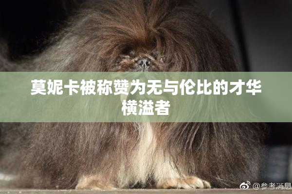 莫妮卡被称赞为无与伦比的才华横溢者