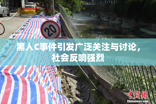 黑人C事件引发广泛关注与讨论，社会反响强烈