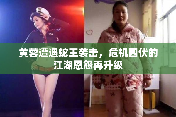 黄蓉遭遇蛇王袭击，危机四伏的江湖恩怨再升级