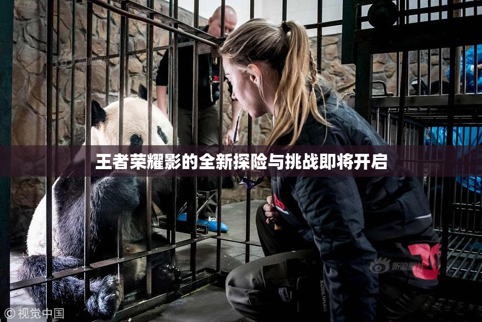 王者荣耀影的全新探险与挑战即将开启