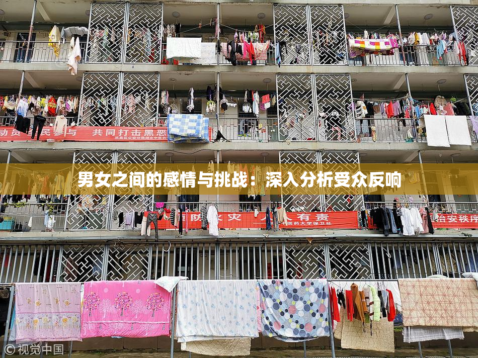男女之间的感情与挑战：深入分析受众反响