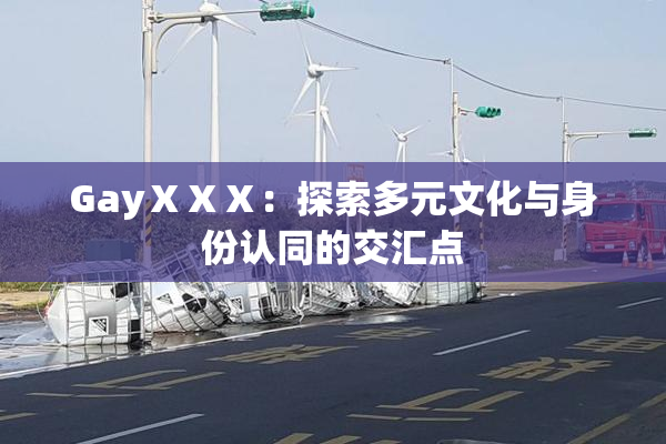 GayⅩⅩⅩ：探索多元文化与身份认同的交汇点