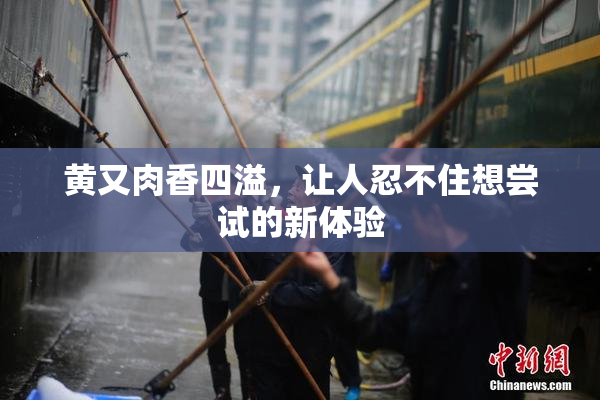 黄又肉香四溢，让人忍不住想尝试的新体验