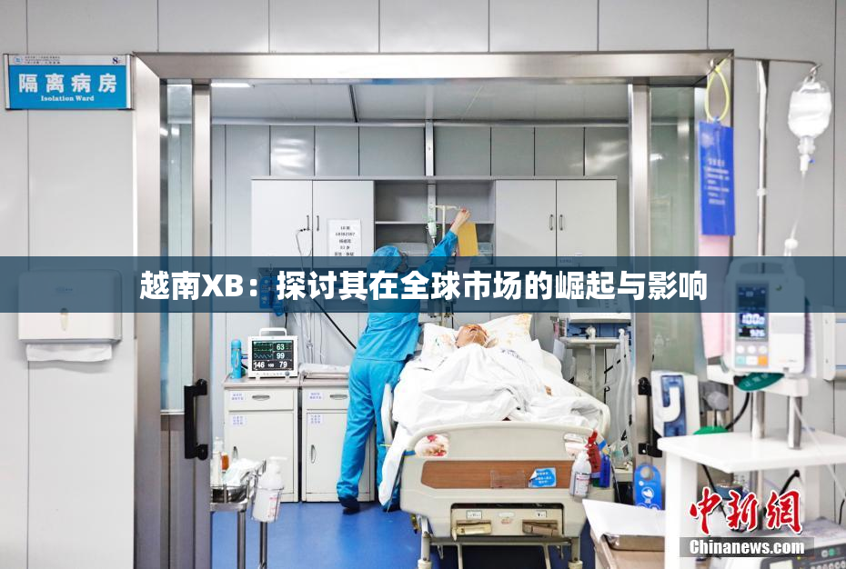 越南XB：探讨其在全球市场的崛起与影响