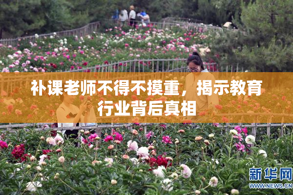 补课老师不得不摸重，揭示教育行业背后真相